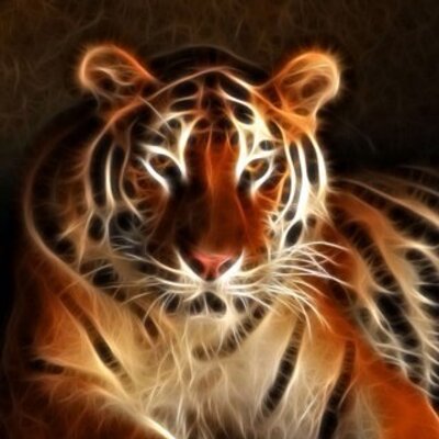 Profile Picture of Steve Batey (@emk3batey) on Twitter