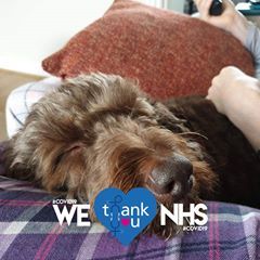 Stephanie Teed - Tiktok Profile Picture of Stephanie Teed (@feztarantonio) on Tiktok