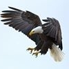 Profile Picture of Frederick Sam (@frederick.sam.315) on Facebook