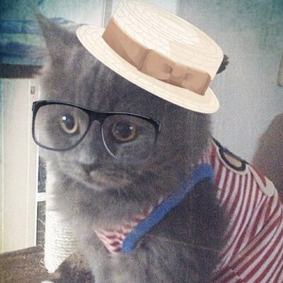 Profile Picture of Jisun Lim (@JisunJSL) on Twitter