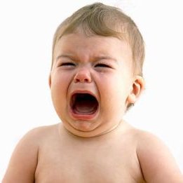 Profile Picture of Sheila Dumb Reid  🐀 (@NotReallySheila) on Twitter