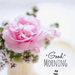 Profile Picture of Lenuța Răchită (@Lenuța-Răchită) on Facebook