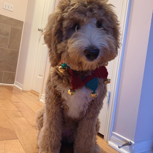 Profile Picture of Mandy Wu (@mandyhot05) on Poshmark