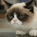 michael knouse - Instagram Profile Picture of michael knouse (@mr.finkle) on Instagram