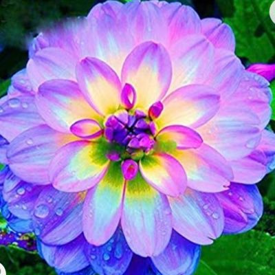 Profile Picture of Kim Ginter (@kim_ginter) on Twitter