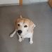 Profile Picture of Walter Lampert (@walter.lampert.750) on Facebook