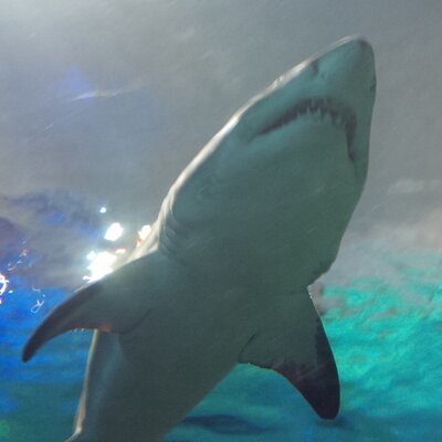 Profile Picture of Jason McGuffie (@JayMcGuffie) on Twitter