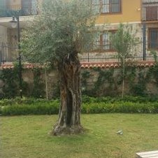 Profile Picture of Fritz Meier (@ayko1955) on Twitter