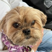 Profile Picture of Jose Quinones (@jose-quinones-203) on Quora