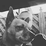 Profile Picture of joseph alan smith (@alan_smithsdb) on Instagram