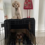 Lucy Barton - Facebook Profile Picture of Lucy Barton (@lucy.barton.100046) on Facebook