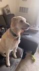 Profile Picture of   Jen Garrison... (@jgarrison0701) on Tiktok