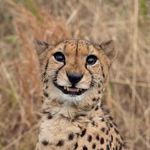 Profile Picture of Jeremy Gutwein (@jegut) on Instagram