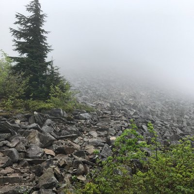 Profile Picture of Matt LeCompte (@LecompteMatt) on Twitter