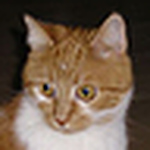 Profile Picture of L.s. Beerman-harrison (@lsh6270) on Flickr