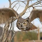 Profile Picture of Ray Burk (@rdburk2016) on Instagram