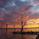 Profile Picture of Brenton Chapman (@onemindopen) on Instagram