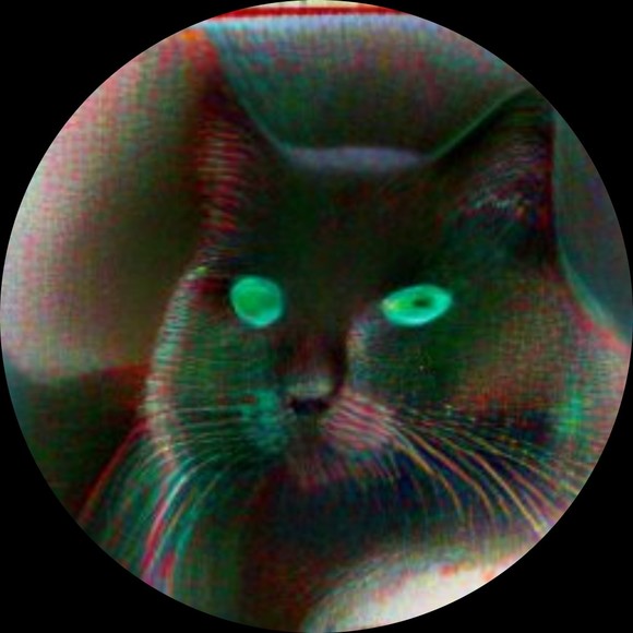 Profile Picture of Fleshstew Fleshstew (@fleshstew) on Poshmark