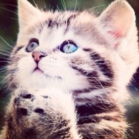 Profile Picture of Jacqueline Spring (@jacqueline-spring) on Quora
