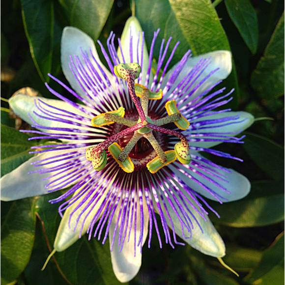 Profile Picture of Kendal Prather (@kendalp) on Poshmark