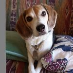 Profile Picture of Marge Awarski (@margeawarski) on Instagram