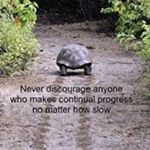 Profile Picture of Marty LunaWolfe (@martylunawolfe) on Instagram