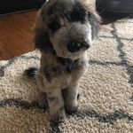 Profile Picture of Julie Makris (@julie.makris.618) on Instagram