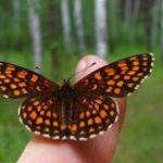 Profile Picture of RICKY (@ricky153yvgrimm) on Instagram