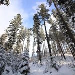 Profile Picture of philipmendelson777 (@philipmendelson777) on Instagram