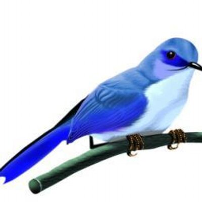 Profile Picture of Thomas J. McKillen (@ThomasJinUSA) on Twitter