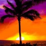 Profile Picture of Lorna Hanson-De Sha-Haynes (@lorna6395) on Instagram