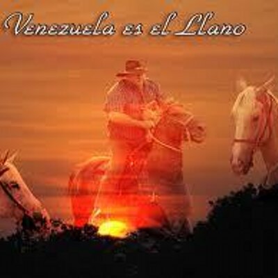 Profile Picture of Peter Lozada (@peterveguero) on Twitter