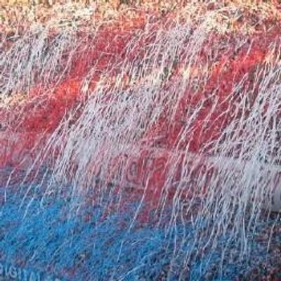 Profile Picture of Daniel Herrero (@dherrerocarazo) on Twitter