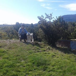 Profile Picture of Alicia Vargas Levicoy (@Alicia-Vargas-Levicoy) on Facebook