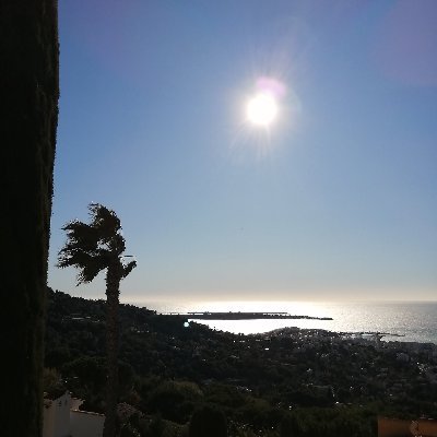 Profile Picture of Sonia Fonseca (@soniafonseca14) on Twitter