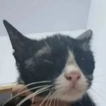 Profile Picture of Jamal_ganteng (@jamal_ganteng._) on Instagram