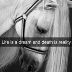 Profile Picture of Shatha Abdullah (@shatha9998999) on Instagram