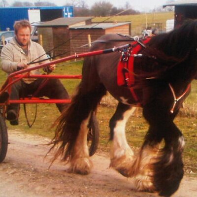 Profile Picture of Jon Hager (@jonhager1973) on Twitter