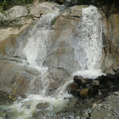 Profile Picture of Paula Puente (@paulapuente1790) on Twitter