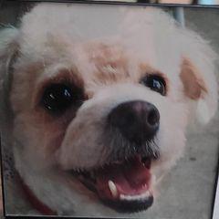 Profile Picture of barbarapitts66@yahoo.com (@barbarapitts) on Tiktok