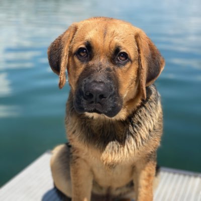 Profile Picture of Max Lenz (@MaxtedLenz) on Twitter