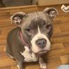 Profile Picture of Nathans_Hardwick (@nathan.hardwick6) on Tiktok