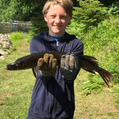 Profile Picture of Gavin Weber (@GavinWeber14) on Twitter