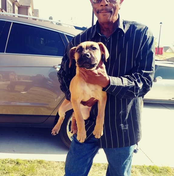 Profile Picture of Michael Andrews (@michaelandre294) on Poshmark