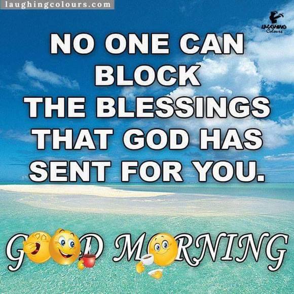 Profile Picture of Sophia Alliman (@sophiaalliman) on Poshmark