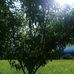 Profile Picture of Pablo Mirabal (@pablo.mirabal.71) on Facebook