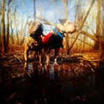 Profile Picture of Hit Em Hard (@james.d.palmisano) on Instagram