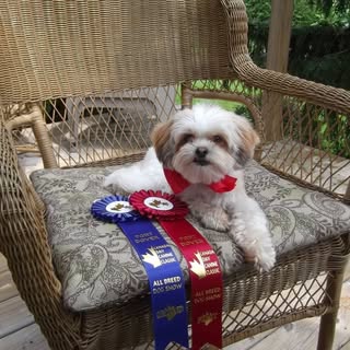 Profile Picture of Barbara Gloyd (@barbgloyd) on Instagram