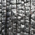 Profile Picture of 𝔄𝔫𝔤𝔲𝔰 𝔍𝔞𝔪𝔢𝔰 𝔎𝔦𝔩𝔡𝔞𝔶 ℭ𝔞𝔯𝔪𝔦𝔠𝔥𝔞𝔢𝔩 (@anguscarmichael) on Instagram