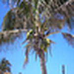 Profile Picture of Sharon Walters (@swalters) on Flickr